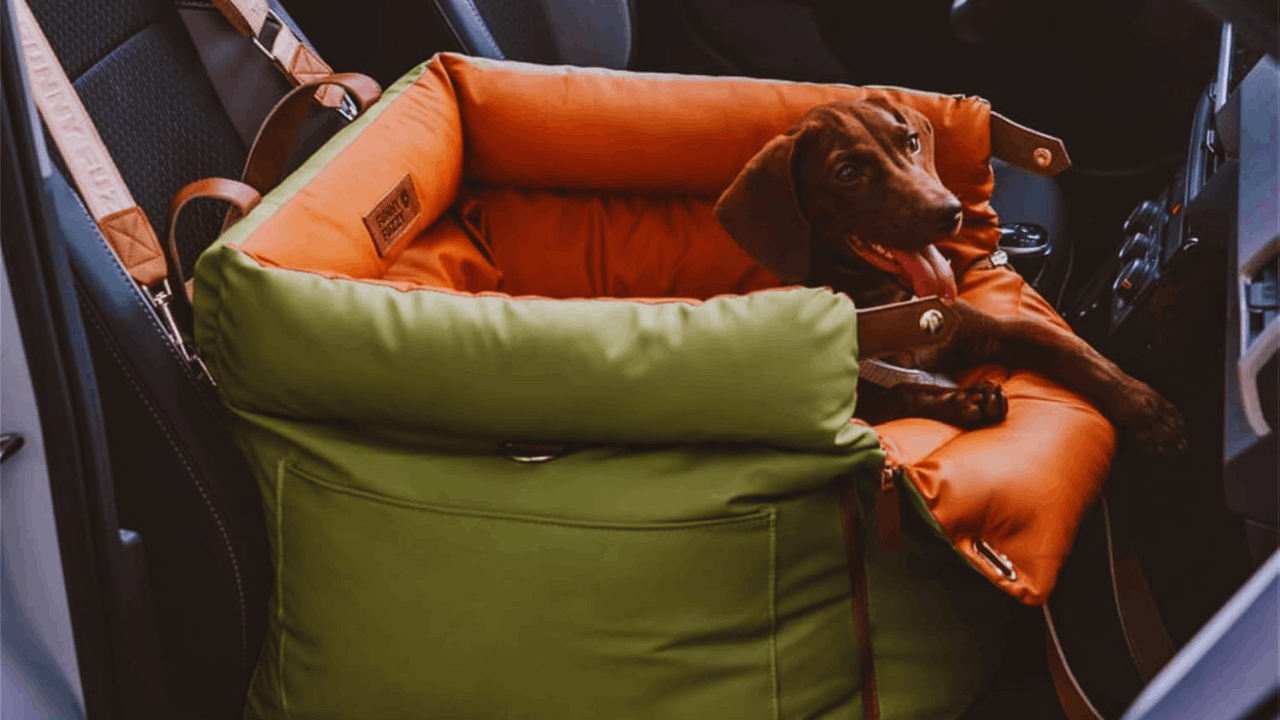 How to Keep Your Dog Comfortable With a Deluxe Faux Leather Car Seat Booster Bed