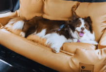 デラックスな合成皮革製カーシートブースターベッドで愛犬を快適に保つ方法